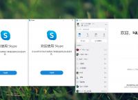 skype安卓手机版app,Skype安卓手机版官方下载