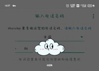 whatsapp注册验证不了,whatsapp验证不了手机号