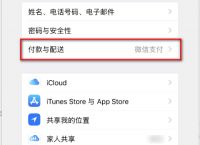 iphone下载app微信支付无效,苹果手机下载软件显示微信付款方式被拒