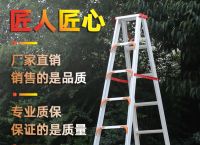 工程梯子品牌十大排名,工程梯子品牌十大排名图片