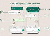 whatsapp怎么读语音,whatsapp语音怎么翻译