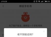 为什么验证码发不出去,为什么验证码发不出去了