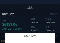 usdt查询地址余额,usdt转出地址可以查询