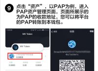 token钱包怎么找回密码,tokenpocket钱包密码忘了怎么办