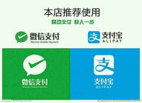 电子支付工具有哪些,电子支付工具主要包括