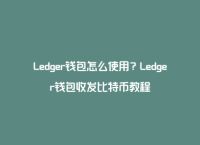 ledger官网购买,ledger entries