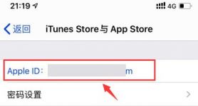 appleid在哪里查看,appleid在哪里查看密码