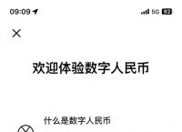 数字人民币进入vtoken,2024年数字人民币全面普及