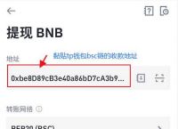 [tp钱包怎么找回币]tp钱包里面的币怎么找回