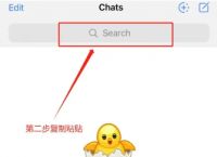 纸飞机聊天app官网,最近很火的纸飞机聊天软件是什么