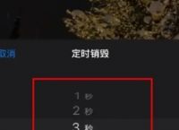 纸飞机聊天软件下载app的简单介绍