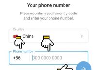 苹果的纸飞机怎么弄成中文版,苹果手机的纸飞机怎么设置中文版
