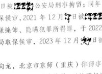 虚拟币会抓什么人,虚拟币交易会不会被监管