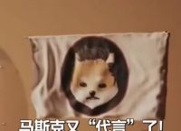 免费挖狗狗币网站,免费挖狗狗币网站大全