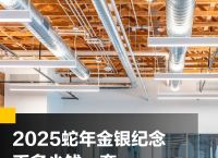 派币2025估计一个多少钱,派币2025年价格100万一枚