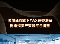 虚拟资产交易平台,虚拟资产交易平台牌照