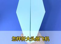 纸飞机破解版看片,纸飞机最新版本下载