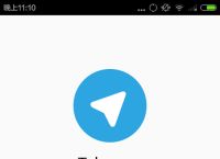 telegeram登录服务器,telegram server port