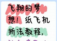 三步折一个纸飞机过程文字,三步折一个纸飞机过程文字怎么写