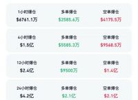 虚拟币爆仓的钱去哪里了,虚拟币爆仓会亏到负数吗?