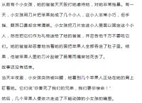 纸飞机账号死亡是什么,纸飞机用账号密码怎么登陆
