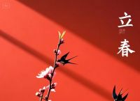 立春是特号是什么生肖,十二生肖立春是特马代表什么生肖