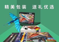 纸飞机网站详情,纸飞机官网是多少