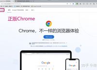 谷歌浏览器网页入口在线打开,谷歌浏览器网页入口在线打开怎么关闭