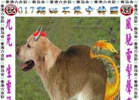 今期生肖七字开猜最准确一肖动物,今期生肖七字开,买八一定能发财解什么生肖