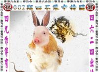 今期六字出玄机指十么生肖,今期六字出玄机是指哪个生肖