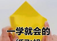纸飞机申请教程,纸飞机怎么申请账号