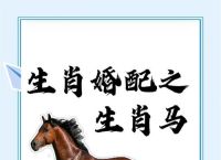 好马今期走在先,好狗独守龙门前,好马今期走在先,好狗独守龙门前是什么生肖