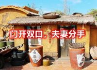 双口打一生肖,双口合起来是什么字