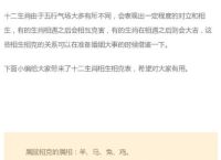 属鼠的人跟什么生肖相冲,属鼠的人跟什么生肖相冲相克