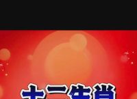 无法无天打一生肖视频,无法无天打个动物打个生肖