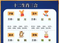 今期生肖三九查是什么肖,今期生肖一二三,生肖得知它广大,三九传统相聚来