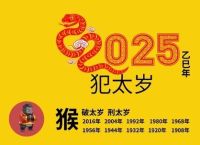2025以后是什么生肖,2025年是什么生肖的年份