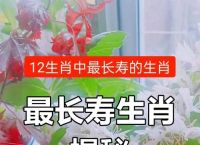 什么生肖最长寿?,什么生肖最长寿动物