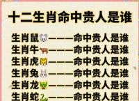 今期接上期此句最佳答案,今期到人话你知是什么生肖