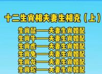 96年属什么生肖与什么配最好,96年属什么生肖与什么配最好婚姻