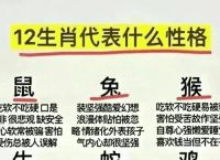 一样首打一生肖,什么生肖一模一样