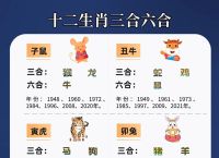 今期生肖二七加正确答案,今期生肖二七开,天上生肖开不完