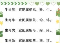 包含少小离家老大回的动物打一生肖的词条