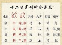 二三合数今期开猜生肖,二三合数今期开是什么生肖
