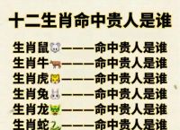 什么生肖进宅门最好,十二生肖进家门是什么征兆