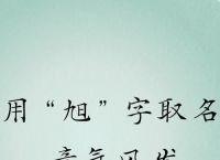 旭字打一生肖,旭字应该开什么生肖