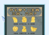 今期生肖六九加,三遍啼鸣天将亮,今期生肖六九加,三遍啼鸣天将亮打一个正确生肖