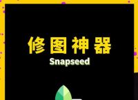 snapseed手机正版安装,snapseed手机修图软件免费版