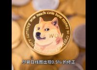 狗狗币今日多少钱一个,狗狗币doge今日价格
