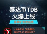 泰达币地址怎么查,泰达币行情哪里可以看